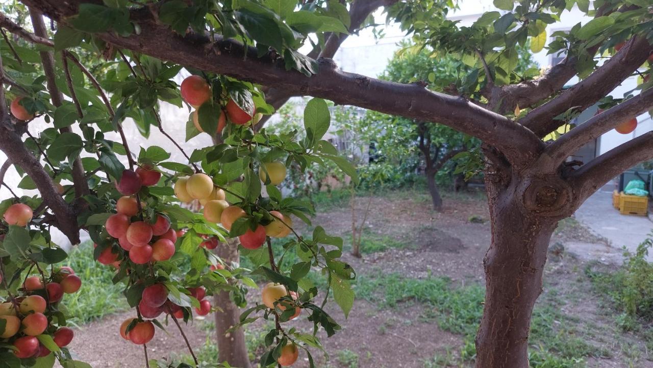 Jonia Appartamento Vacanze Vicino Al Mare Con Giardino Pulsano Exterior foto