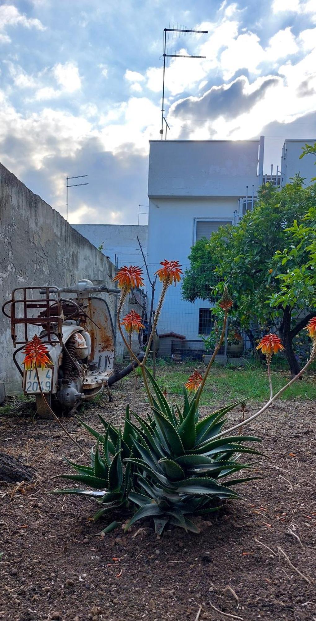 Jonia Appartamento Vacanze Vicino Al Mare Con Giardino Pulsano Exterior foto